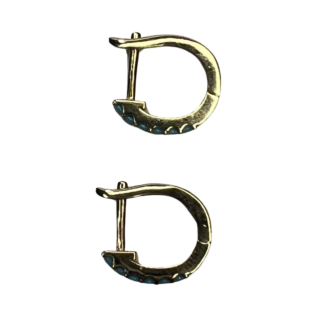 Teal Stone Earrings
