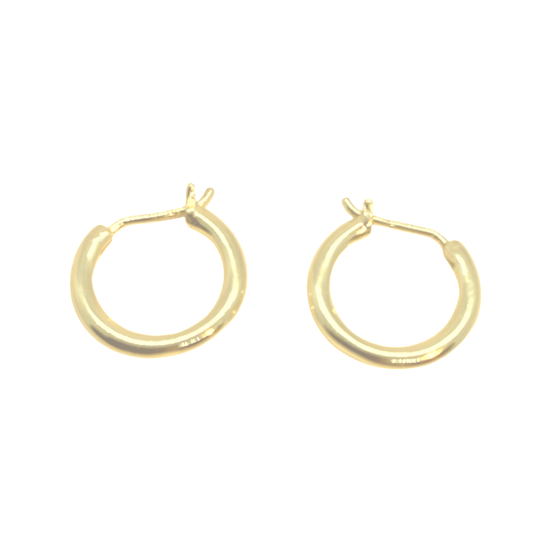 Small hoop earrings n gold